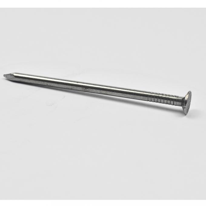 2.3mm*50mm Smooth Shank Galvanized Common Nails for Framing