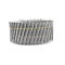 Stainless Steel 15 Degree 2-1/4" x .120" Wire Coil Nail Construction Ring Shank Diamond Point