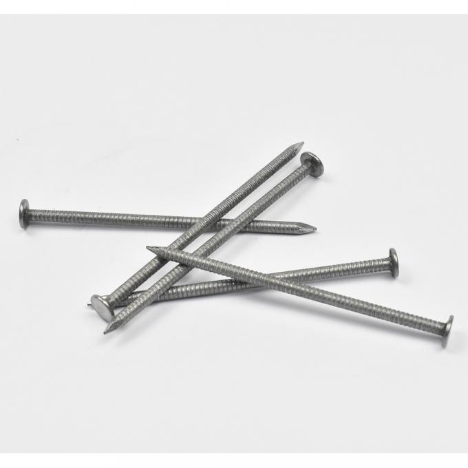 Hot Dipped Galvanized Common Nails With Ring Shank