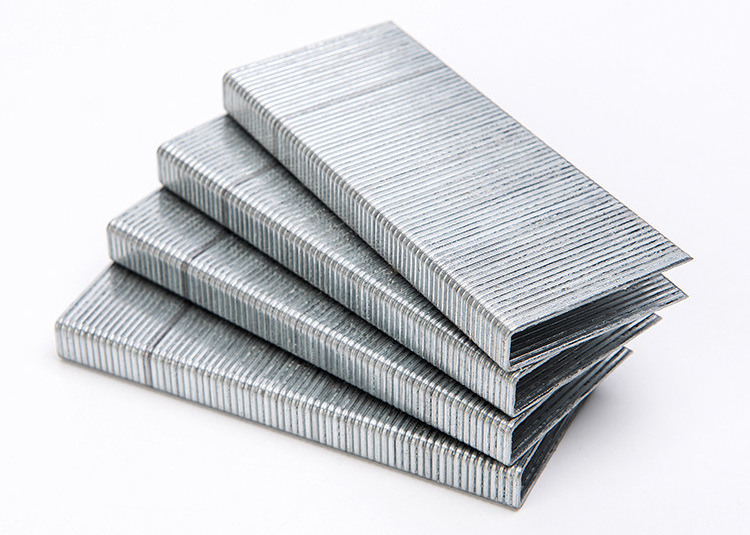 16 gauge Thailand Medium Crown Staples 3/4"2" senco staples N11N21