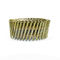 2.3*50 Flat Head Galvanized Coated Screw  Pallet Coil Nails