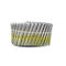 Wire Collated Electric Galvanised Coil Nails For Construction Ring Shank  2''