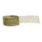 Yellow Coated Galvanized Coil Nails Q235 Material For Wood Pallet 15 Degree